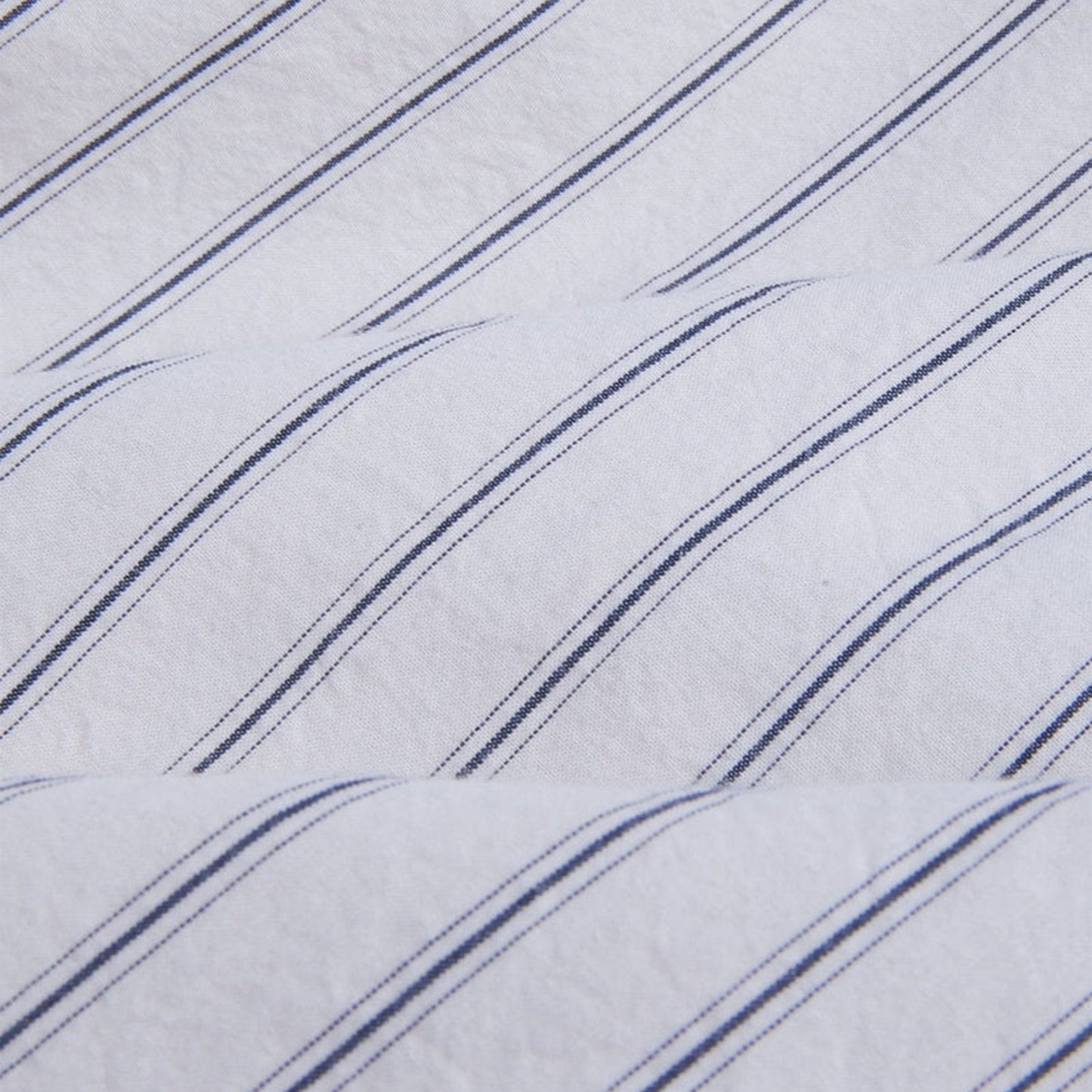 Poplin Stripe L/S Shirt in Natural