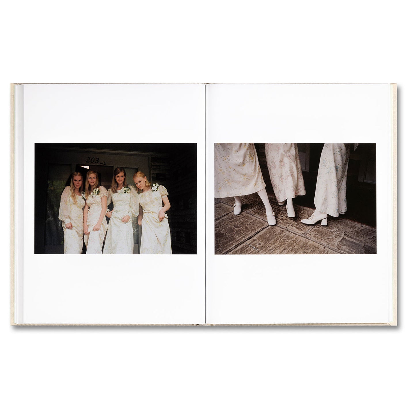 The Virgin Suicides