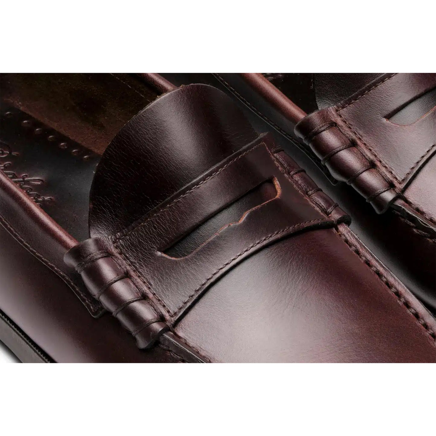 Coraux in Lisse America