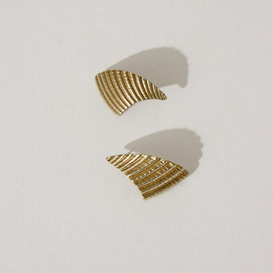Shell Earrings