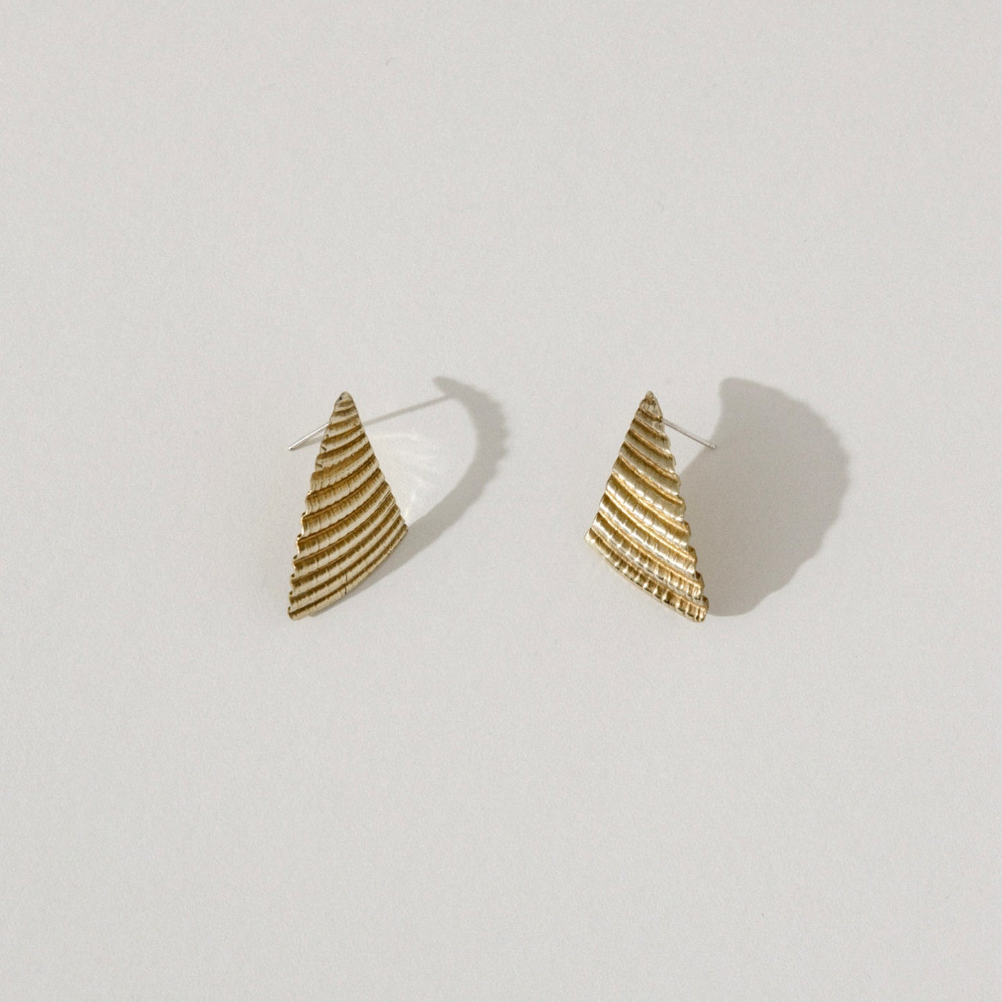 Shell Earrings