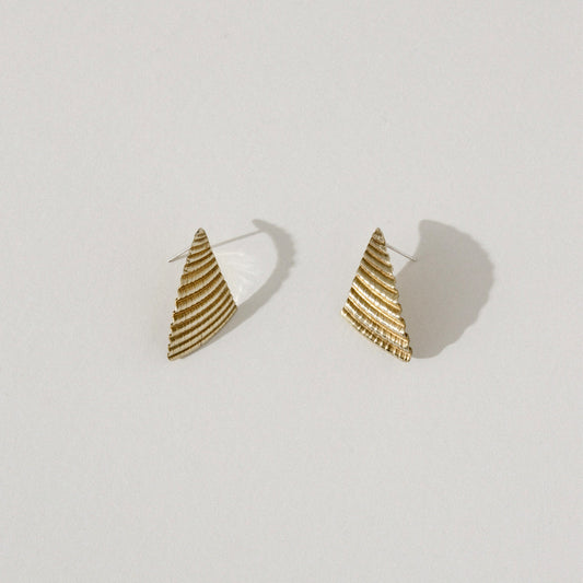 Shell Earrings